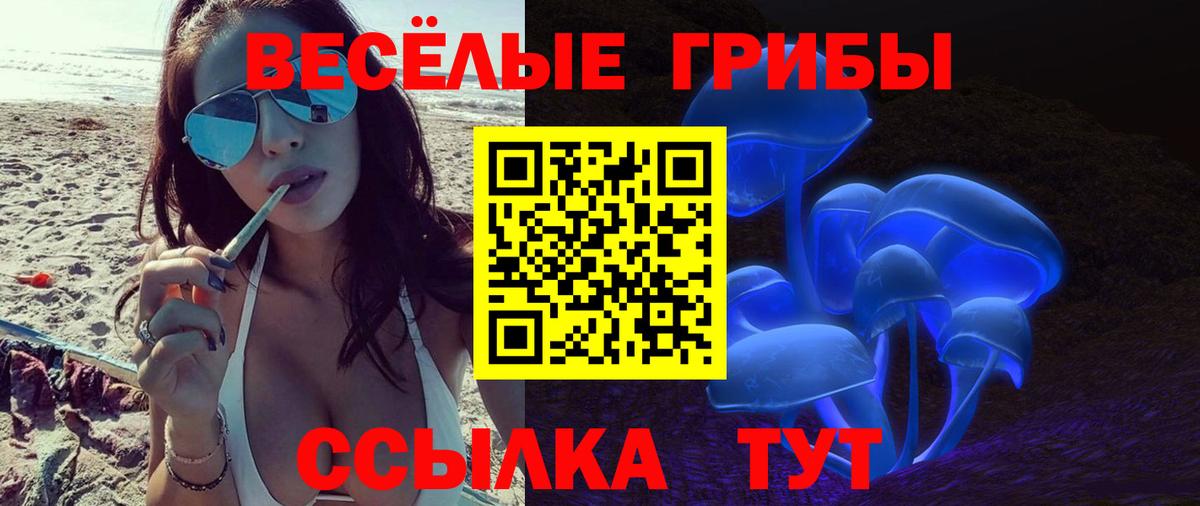 Сокол  что такое   Вход с VPN  Галлюциногенные грибы Psilocybine cubensis  Псилоцибиновые грибы Cubensis 